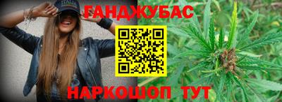 стафф Краснознаменск
