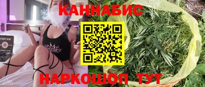 стафф Краснознаменск